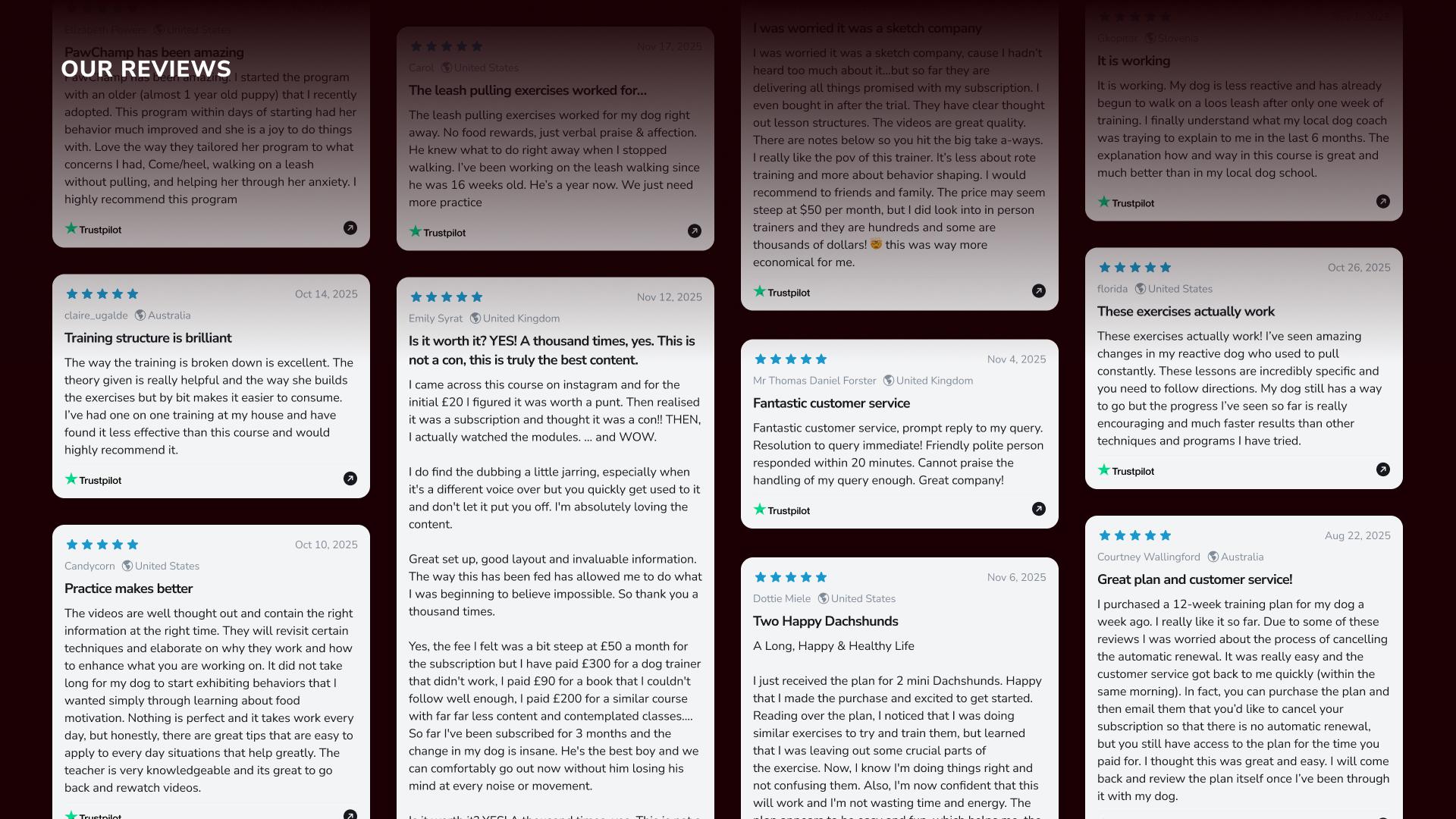 Noble Technology Awards Winner - PawChamp Dog Training & Care gallery